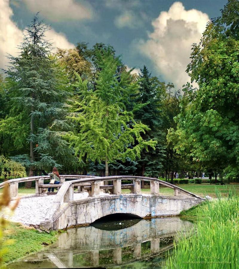 Sziget Apartman Eger Exteriör bild
