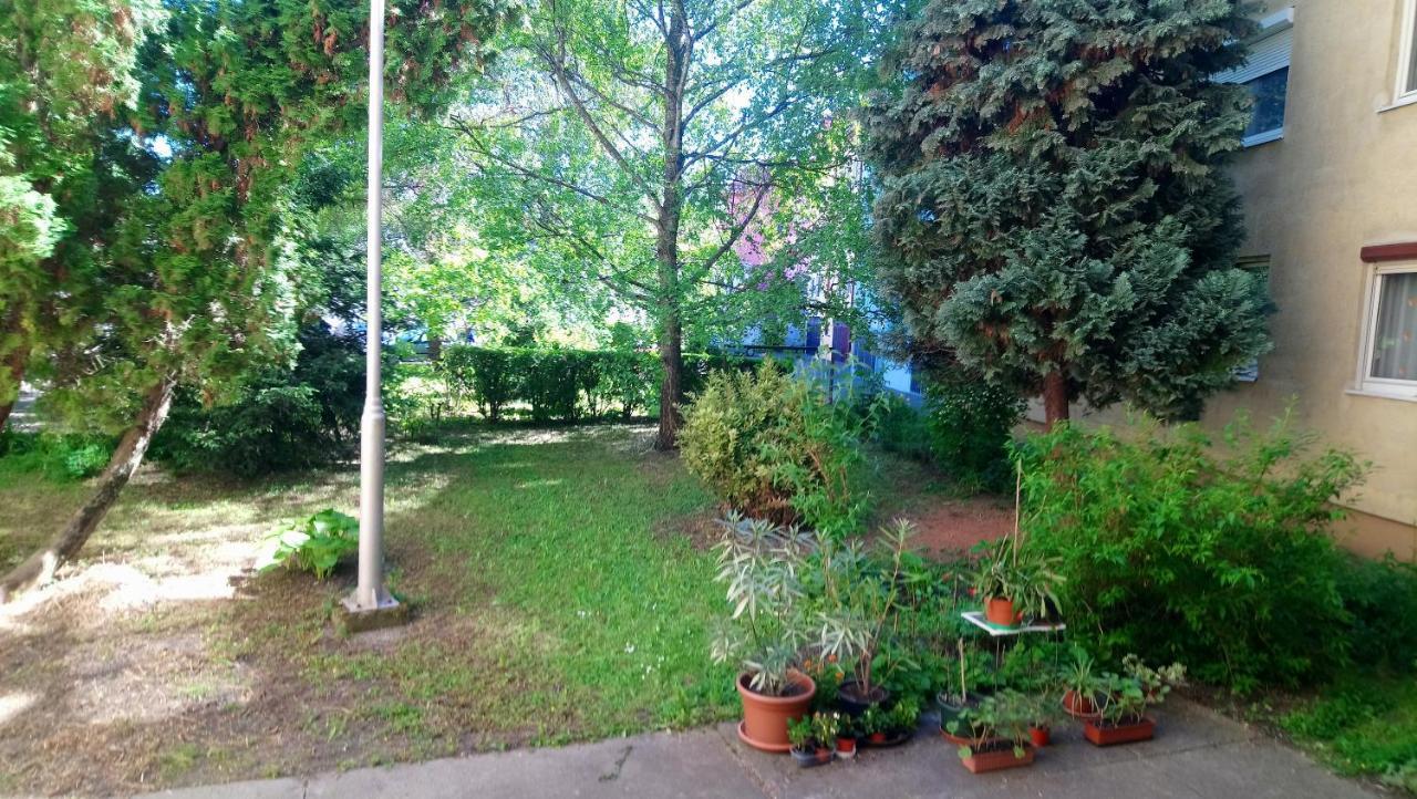 Sziget Apartman Eger Exteriör bild